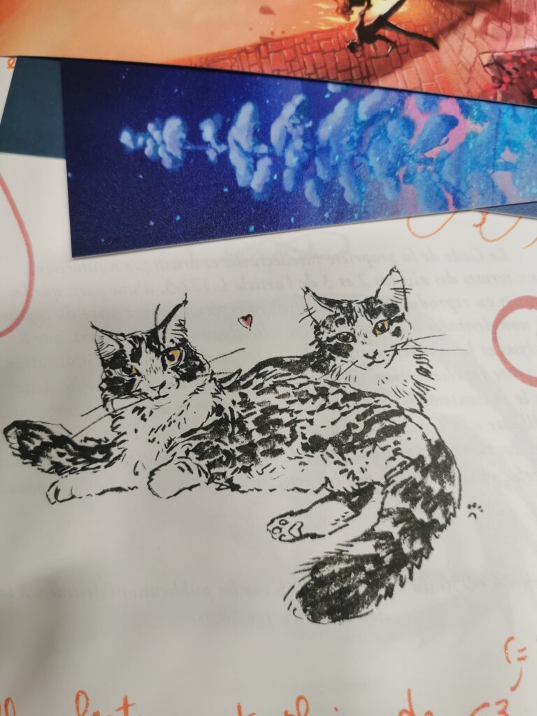 dédicace au stylo représentant deux chats